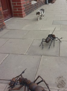 Prospektory vítaly i mladé ostravské kočičky