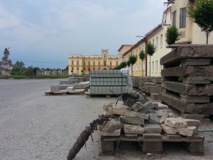 Mravenci prospektoři pomohli při revitalizaci náměstí
