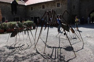 Pavouk- autor Michal Ptáček