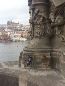 Prospektoři na Karlově mostě 2015
